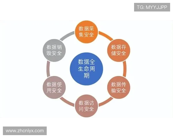 安全稳定的发财圈下载渠道，保障你的资金安全与隐私保护